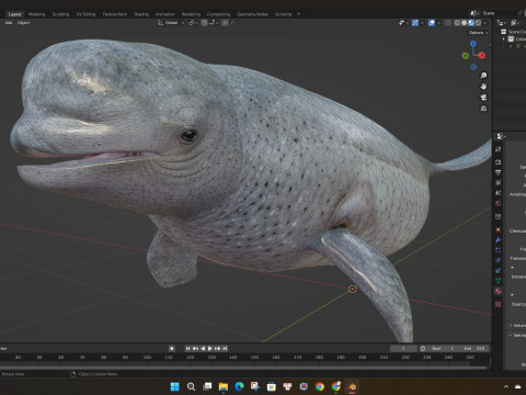 Beluga 3D Модель