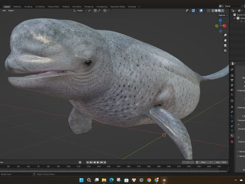 Beluga 3D Model