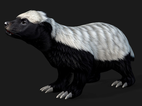 HoneyBadger Model 3D