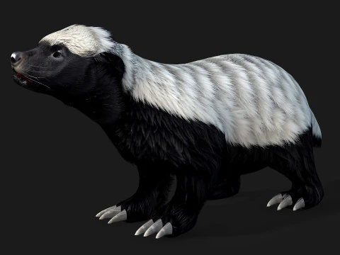 Tasso del miele Modello 3D