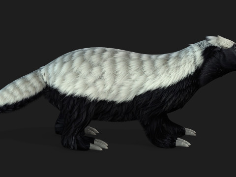HoneyBadger Model 3D
