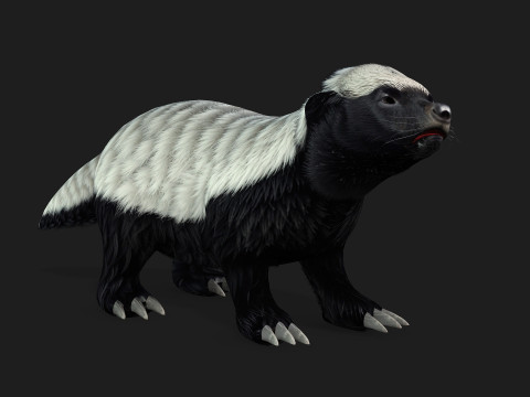 HoneyBadger Model 3D