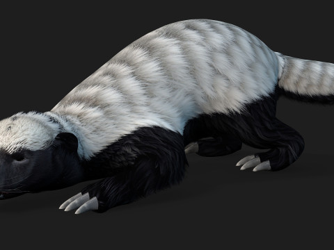 HoneyBadger Model 3D