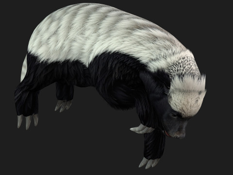 HoneyBadger Model 3D