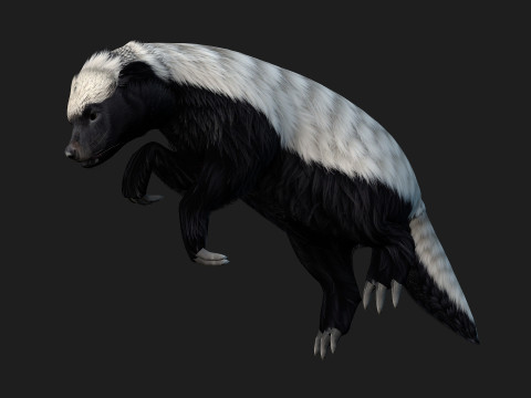 HoneyBadger Model 3D
