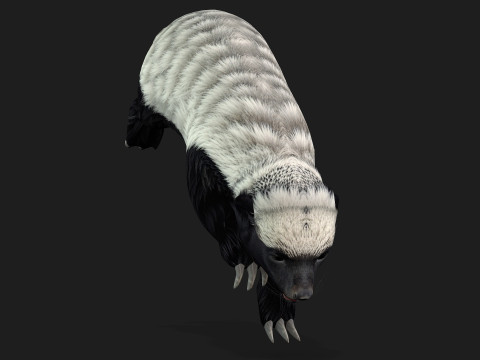 HoneyBadger Model 3D