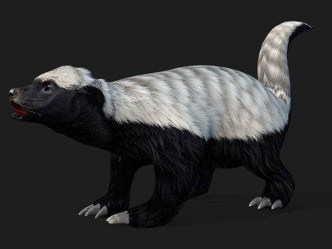 HoneyBadger Model 3D