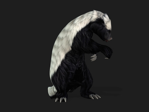 HoneyBadger Model 3D