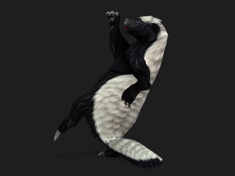 HoneyBadger Model 3D