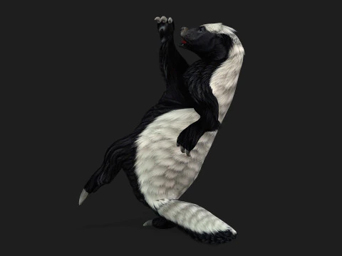 Tasso del miele Modello 3D