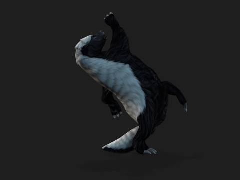 HoneyBadger Model 3D