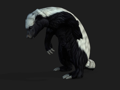 HoneyBadger Model 3D
