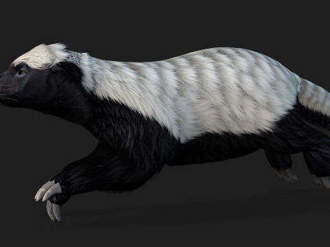 HoneyBadger Model 3D