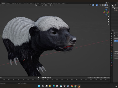 HoneyBadger Model 3D
