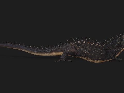 ReptilesA1 3D 모델
