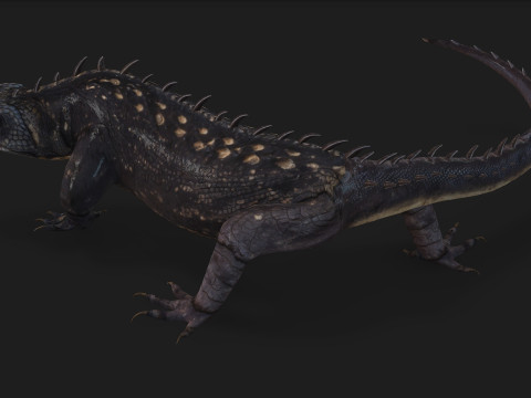 ReptilesA1 3D 모델