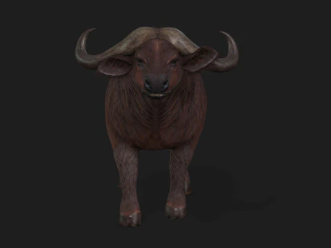 B&uacute;falo-A1 Modelo 3D