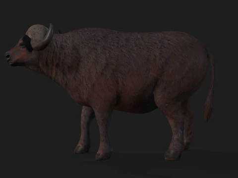 B&uacute;falo-A1 Modelo 3D