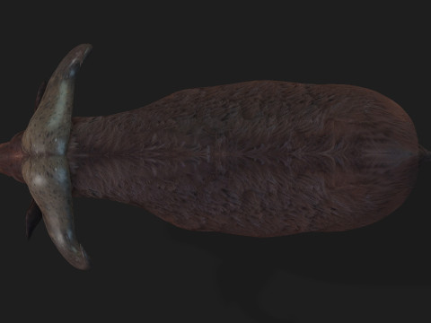 Buffalo-A1 3D Model