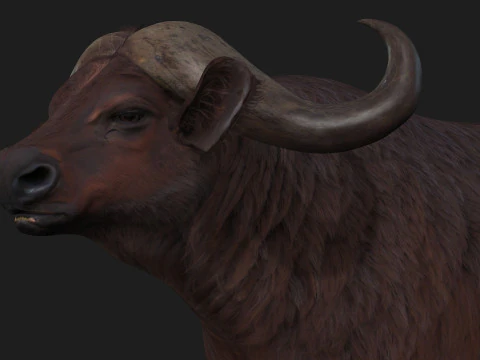 B&uacute;falo-A1 Modelo 3D