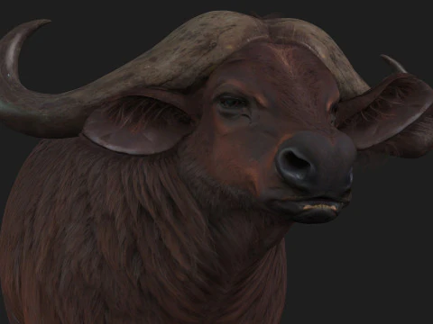 B&uacute;falo-A1 Modelo 3D
