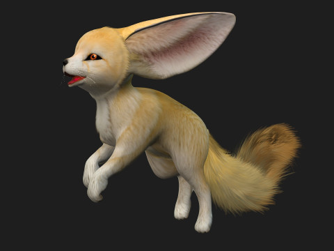 FoxB1 3D मॉडल