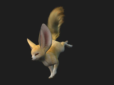 Fox-B1 3D Model