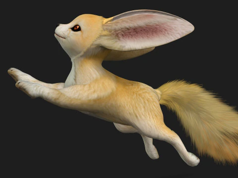 Fox-B1 3D Model