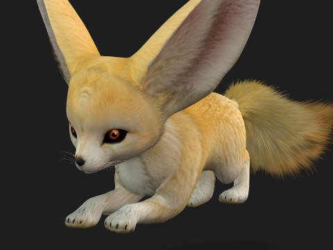 FoxB1 3D मॉडल