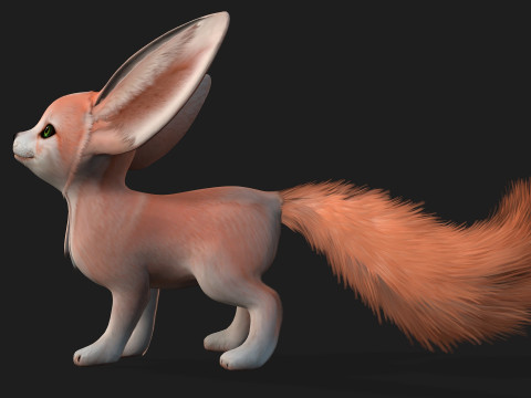 Fox-B2 3Dモデル