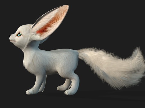 FoxB3 Model 3D