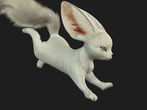 FoxB3 Model 3D
