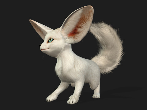 FoxB3 Model 3D