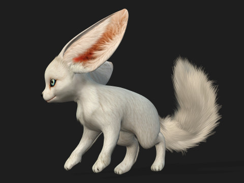 FoxB3 Model 3D