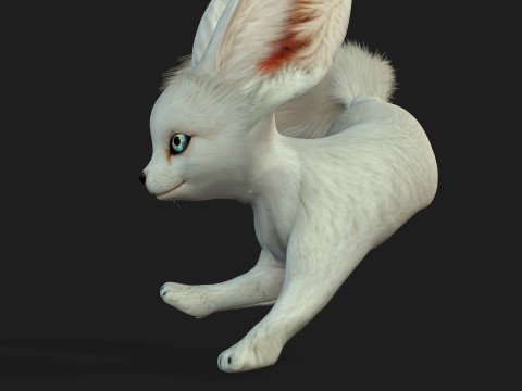 FoxB3 Model 3D
