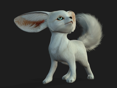 FoxB3 Model 3D