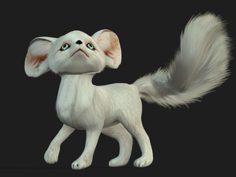 FoxB3 Model 3D
