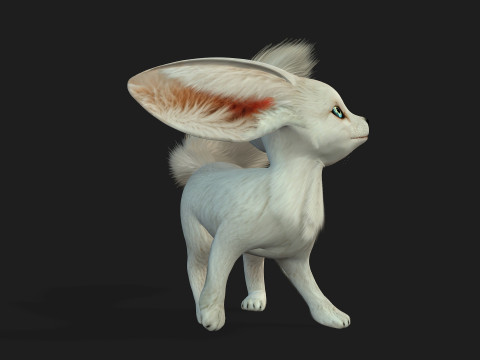 FoxB3 Model 3D
