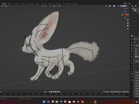 FoxB3 Model 3D