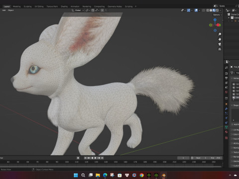 FoxB3 Model 3D