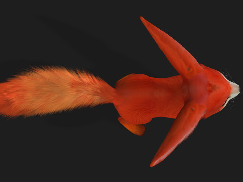 Fox-B4 Model 3D