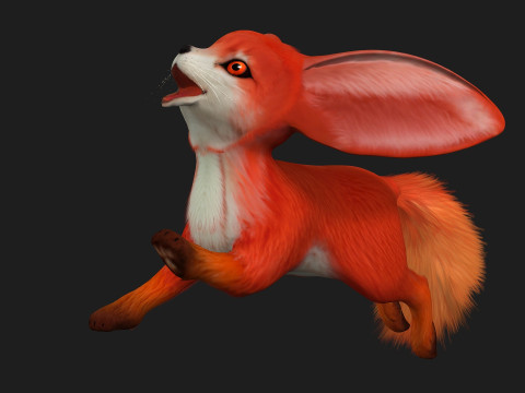 Fox-B4 Model 3D