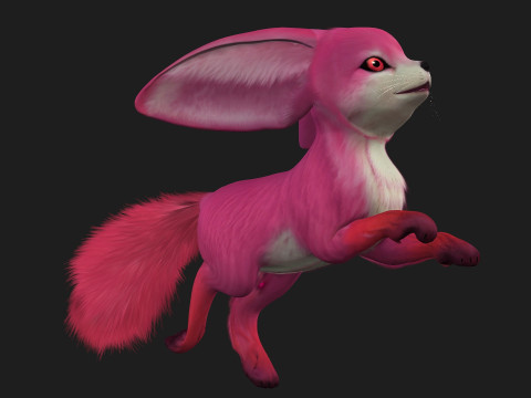 Fox-B5 Model 3D