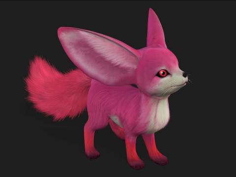 Fox-B5 Model 3D