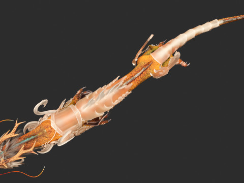 Dragon-A1 Model 3D