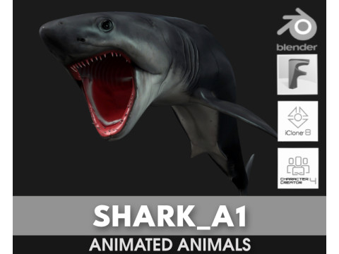 Shark-A1 3D Model