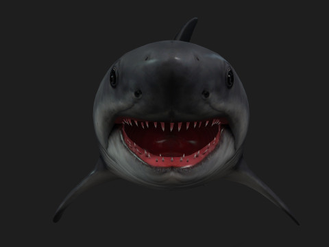 Shark-A1 3D 模型
