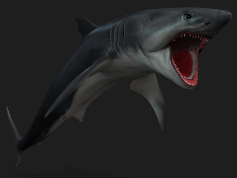 Shark-A1 3D 模型