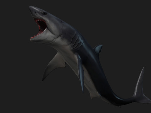 Shark-A1 3D 模型