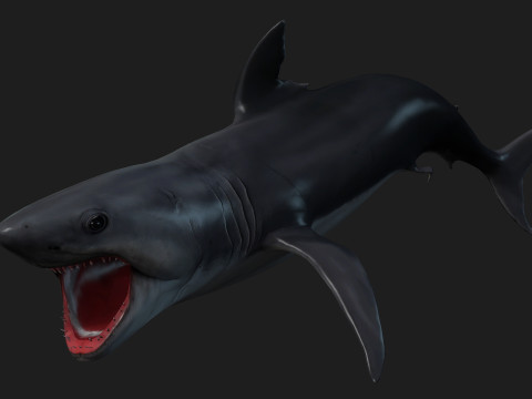 Shark-A1 3D 模型